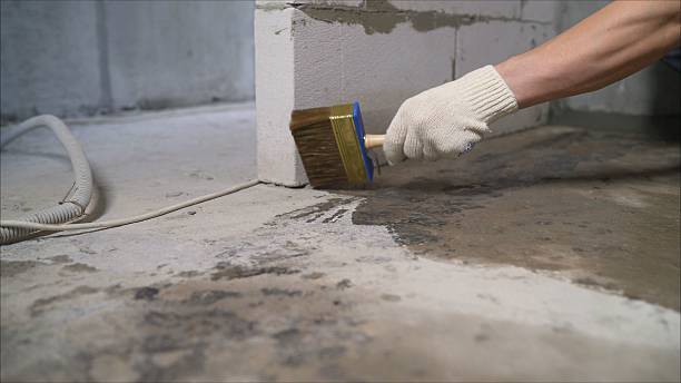 SJ Waterproofing Pros Crawl Space Encapsulation coverage map for Princeton, NC and surrounding area